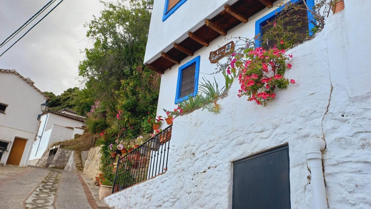 Benalauría Casa El Olivo By Casaturisticaヴィラ エクステリア 写真