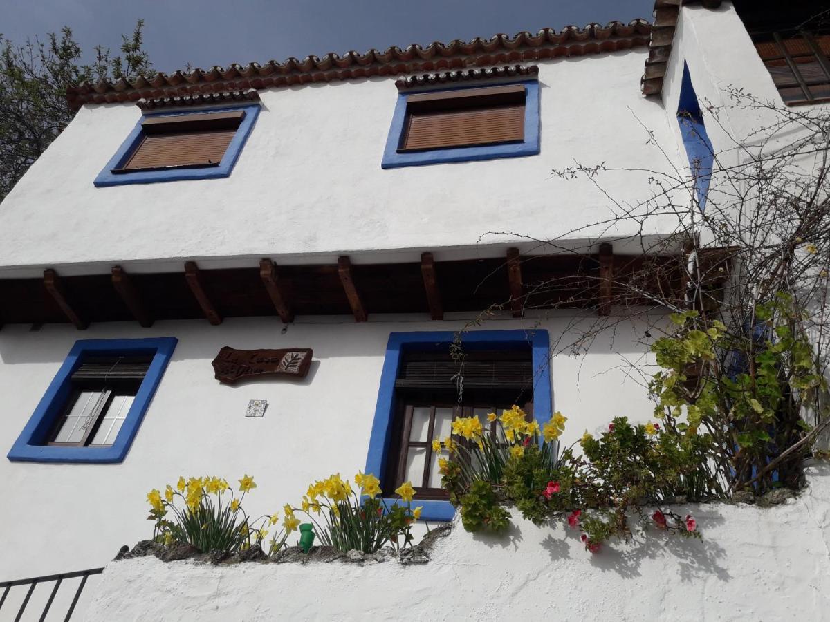 Benalauría Casa El Olivo By Casaturisticaヴィラ エクステリア 写真