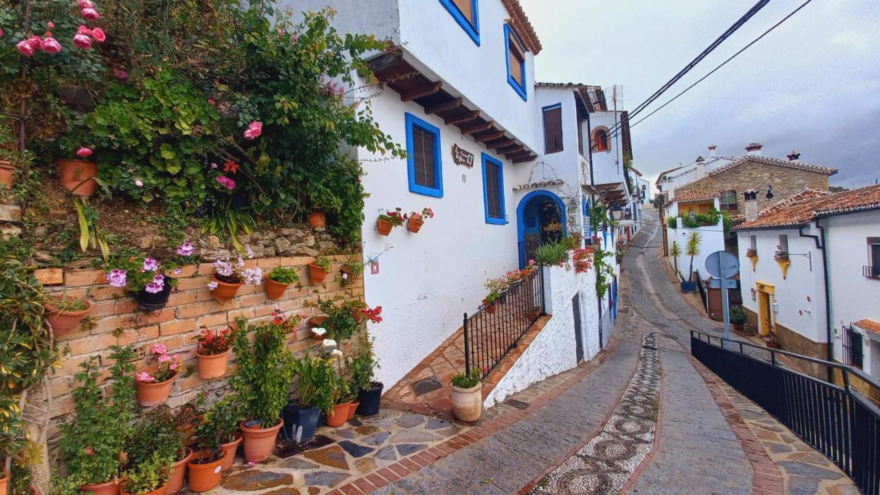 Benalauría Casa El Olivo By Casaturisticaヴィラ エクステリア 写真